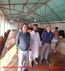 Visit of SAC Team to Bangladesh Milk Producer’s Cooperative Union Ltd. (Milkvita) Buffalo Farm Takerhat, Madaripur, Bangladesh